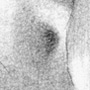 Study detail by James Tafel Shuster
