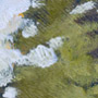 Yield detail by James Tafel Shuster